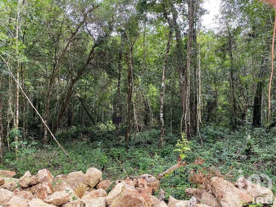Terreno en Venta en Puerto Morelos, Puerto Morelos, Quintana Roo | NEX-284324 | iad México | Foto 30 de 31