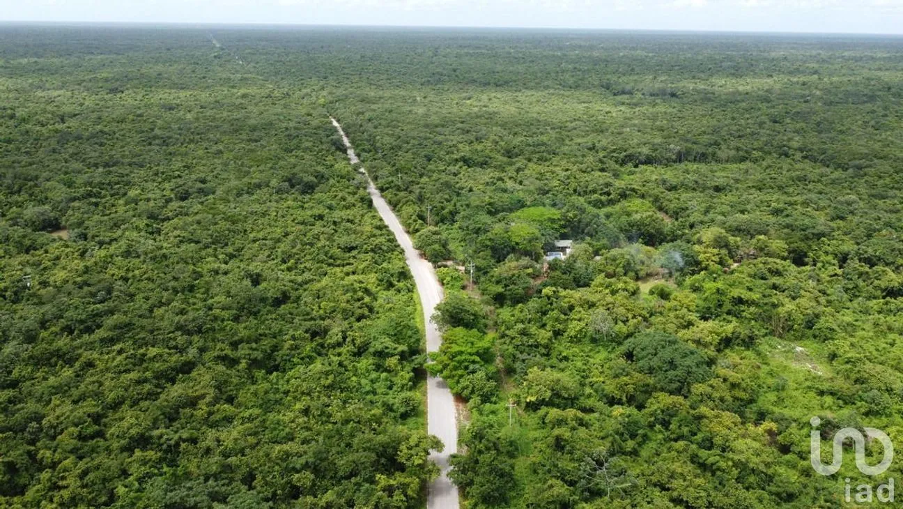 Terreno en Venta en Puerto Morelos, Puerto Morelos, Quintana Roo | NEX-284324 | iad México | Foto 4 de 31