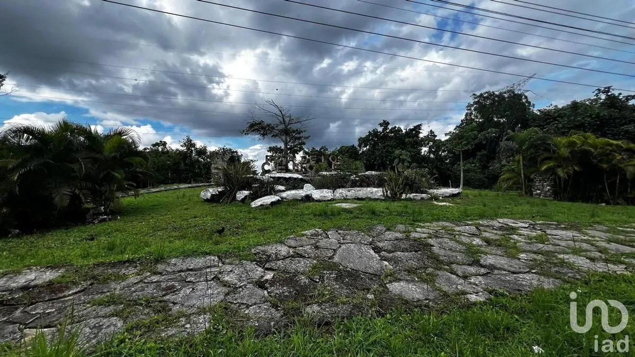 Terreno en Venta en Puerto Morelos, Puerto Morelos, Quintana Roo | NEX-284324 | iad México | Foto 6 de 31