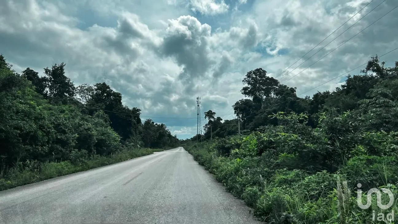 Terreno en Venta en Puerto Morelos, Puerto Morelos, Quintana Roo | NEX-284324 | iad México | Foto 8 de 31