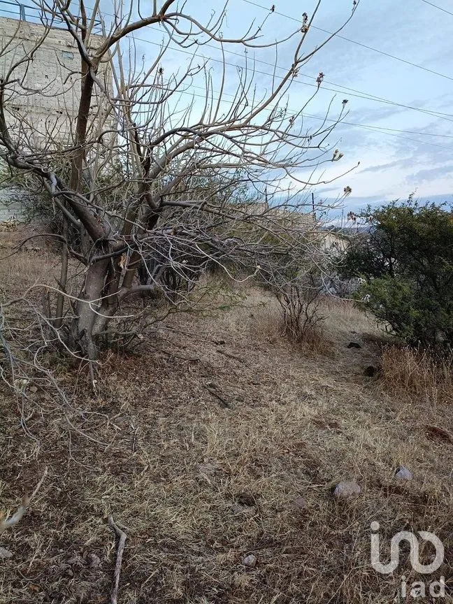 Terreno en Venta en Pozuelos, Guanajuato, Guanajuato | NEX-284705 | iad México | Foto 6 de 8