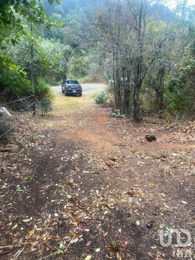 Terreno en Venta en Santa Rosa de Lima, Guanajuato, Guanajuato | NEX-284725 | iad México | Foto 2 de 6