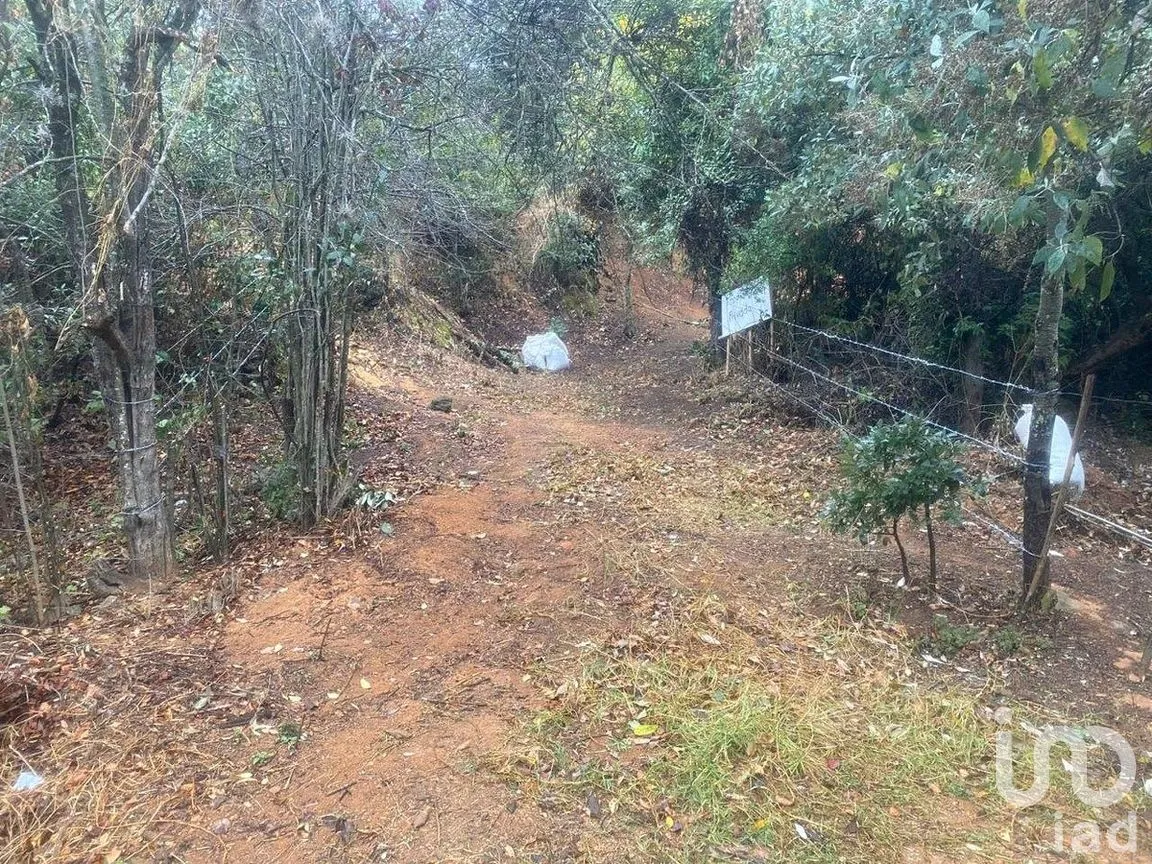 Terreno en Venta en Santa Rosa de Lima, Guanajuato, Guanajuato | NEX-284725 | iad México | Foto 5 de 6