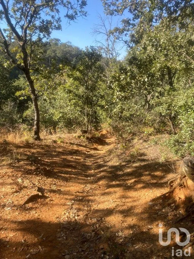 Terreno en Venta en Santa Rosa de Lima, Guanajuato, Guanajuato | NEX-284725 | iad México | Foto 1 de 6