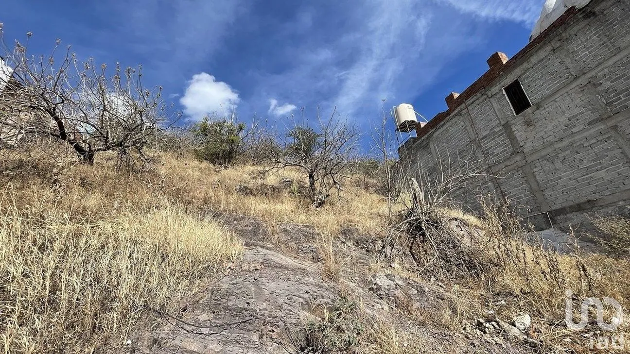 Terreno en Venta en Cerro del Cuarto, Guanajuato, Guanajuato | NEX-290312 | iad México | Foto 7 de 8