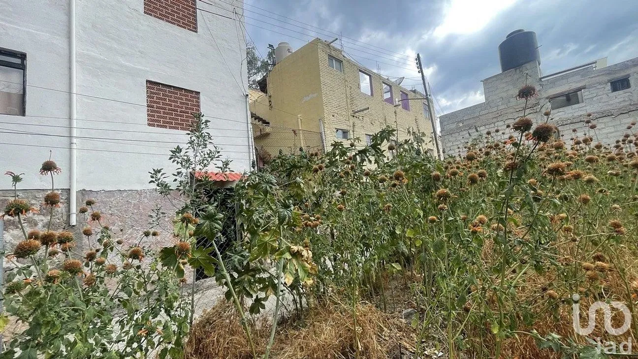Terreno en Venta en Guanajuato Centro, Guanajuato, Guanajuato | NEX-290313 | iad México | Foto 2 de 6