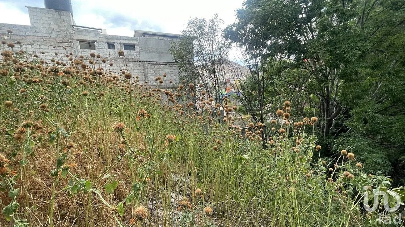 Terreno en Venta en Guanajuato Centro, Guanajuato, Guanajuato | NEX-290313 | iad México | Foto 3 de 6