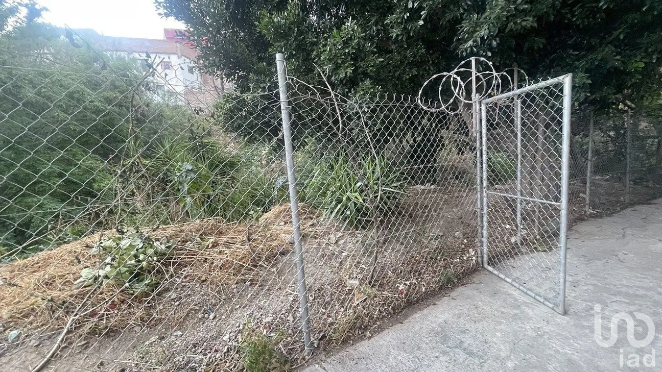 Terreno en Venta en Guanajuato Centro, Guanajuato, Guanajuato | NEX-290313 | iad México | Foto 4 de 6