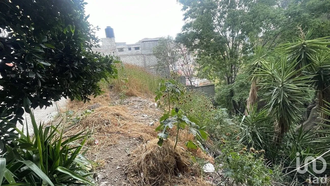 Terreno en Venta en Guanajuato Centro, Guanajuato, Guanajuato | NEX-290313 | iad México | Foto 5 de 6