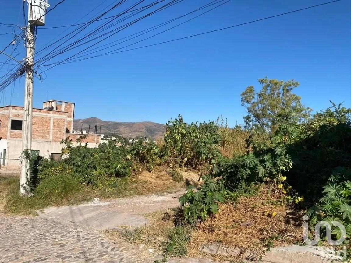 Terreno en Venta en Arroyo Verde, Guanajuato, Guanajuato | NEX-98829 | iad México | Foto 4 de 6