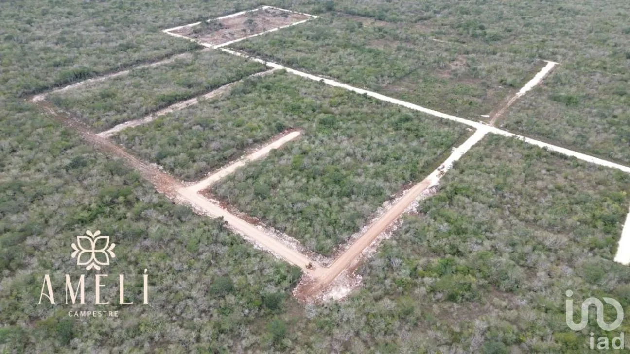 Terreno en Venta en Yaxkukul, Yaxkukul, Yucatán | NEX-226937 | iad México | Foto 4 de 6