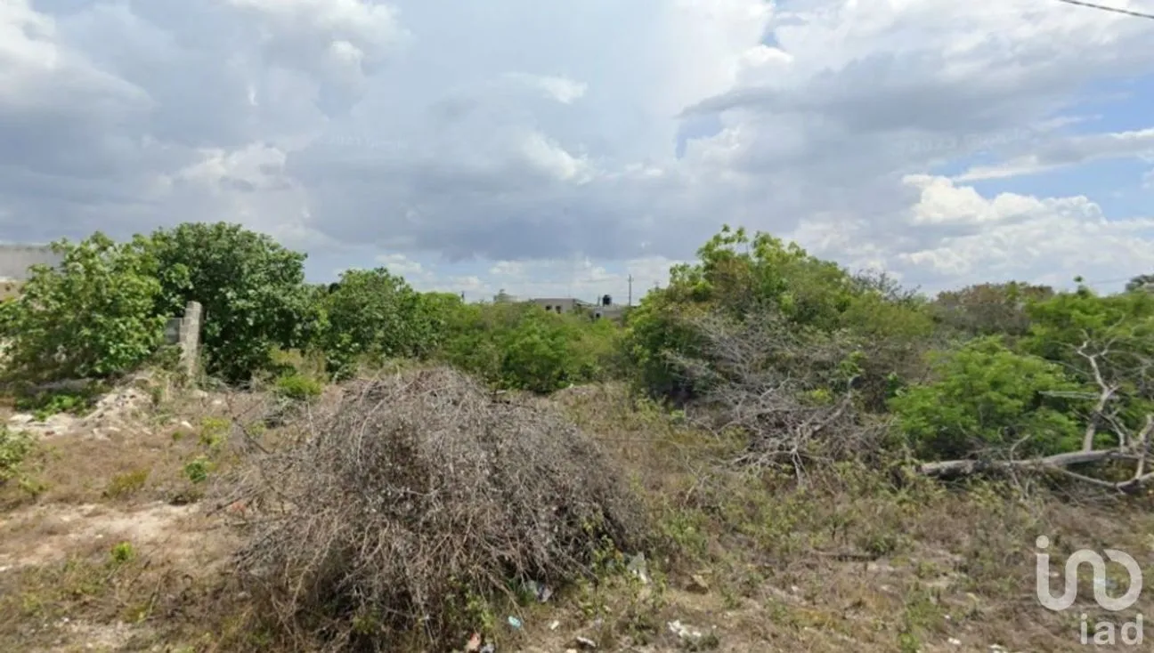Terreno en Venta en Chicxulub Puerto, Progreso, Yucatán | NEX-226940 | iad México | Foto 3 de 7