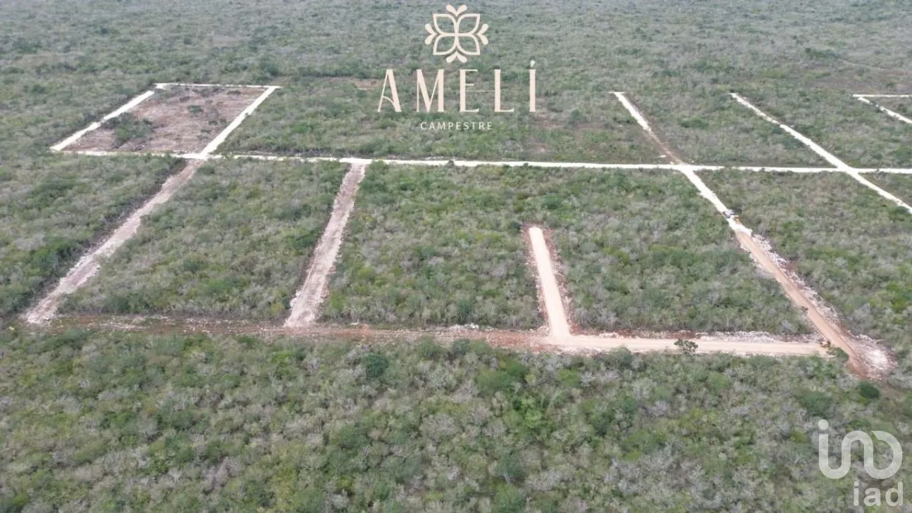 Terreno en Venta en Yaxkukul, Yaxkukul, Yucatán | NEX-280904 | iad México | Foto 5 de 6