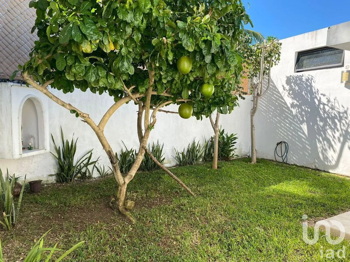 Casa en Venta en San Antonio Cinta, Mérida, Yucatán | NEX-280908 | iad México | Foto 15 de 16