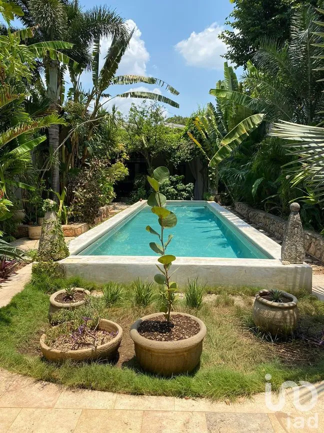 Casa en Renta en Mérida Centro, Mérida, Yucatán | NEX-280910 | iad México | Foto 2 de 15