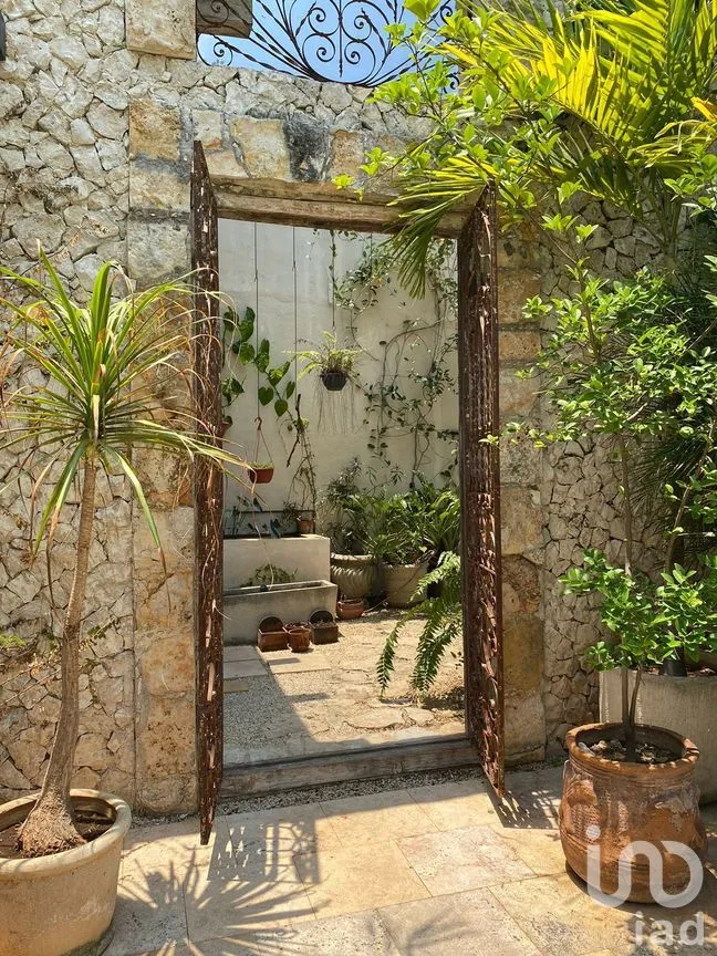 Casa en Renta en Mérida Centro, Mérida, Yucatán | NEX-280910 | iad México | Foto 12 de 15