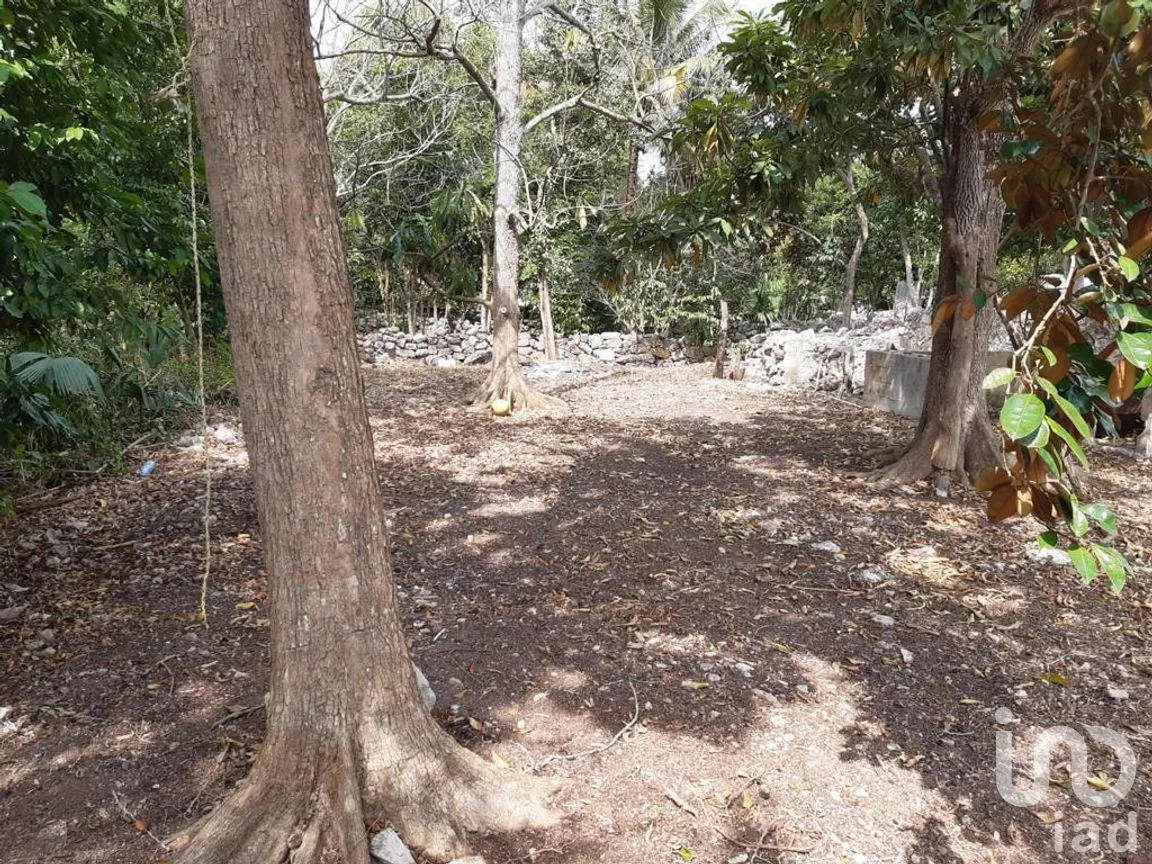 Casa en Venta en Tixkuncheil, Baca, Yucatán | NEX-280914 | iad México | Foto 2 de 10