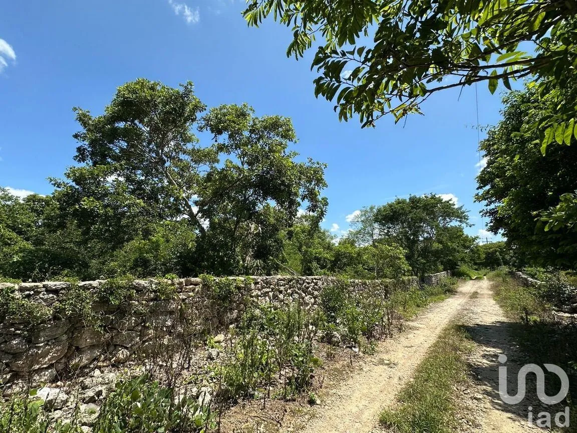 Terreno en Venta en Dzemul, Dzemul, Yucatán | NEX-280916 | iad México | Foto 2 de 8