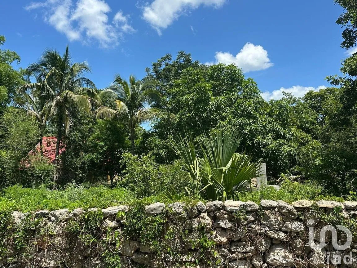 Terreno en Venta en Dzemul, Dzemul, Yucatán | NEX-280916 | iad México | Foto 3 de 8