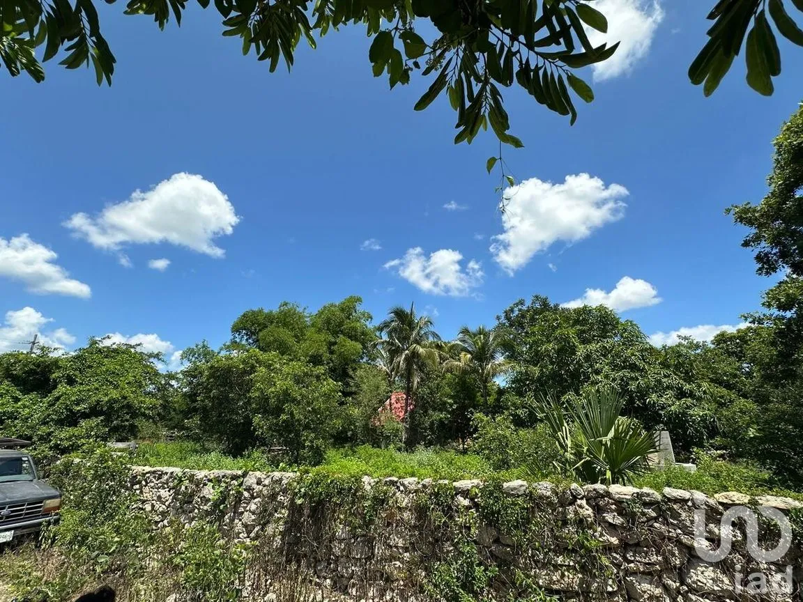 Terreno en Venta en Dzemul, Dzemul, Yucatán | NEX-280916 | iad México | Foto 4 de 8