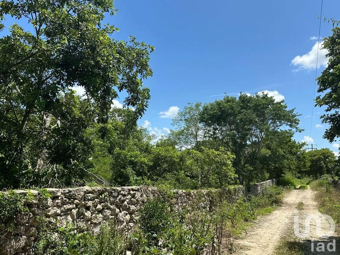 Terreno en Venta en Dzemul, Dzemul, Yucatán | NEX-280916 | iad México | Foto 5 de 8