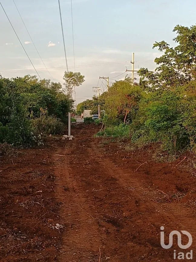 Terreno en Venta en Dzununcán, Mérida, Yucatán | NEX-226809 | iad México | Foto 11 de 13