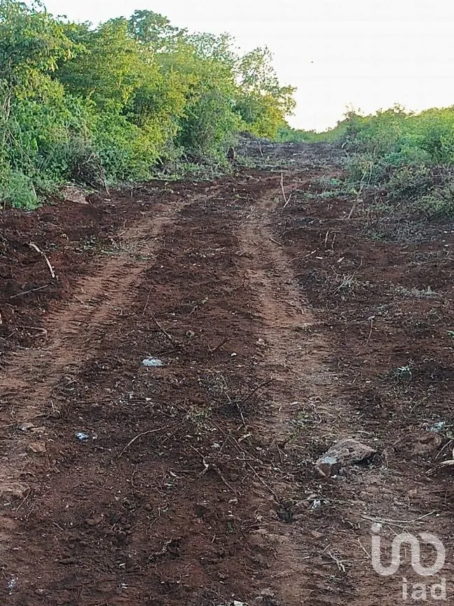 Terreno en Venta en Dzununcán, Mérida, Yucatán | NEX-226809 | iad México | Foto 12 de 13