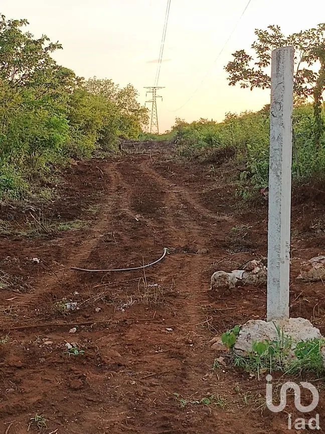 Terreno en Venta en Dzununcán, Mérida, Yucatán | NEX-226809 | iad México | Foto 13 de 13