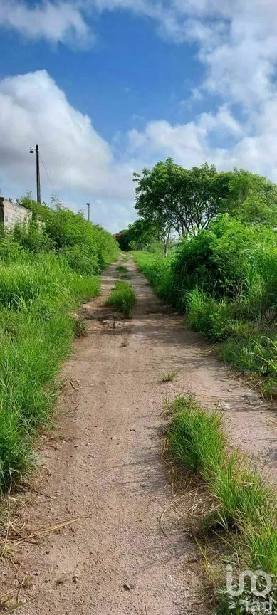 Terreno en Venta en Dzununcán, Mérida, Yucatán | NEX-226809 | iad México | Foto 3 de 13