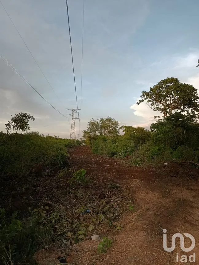 Terreno en Venta en Dzununcán, Mérida, Yucatán | NEX-226809 | iad México | Foto 5 de 13