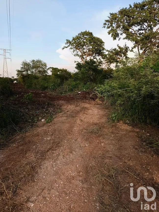 Terreno en Venta en Dzununcán, Mérida, Yucatán | NEX-226809 | iad México | Foto 6 de 13