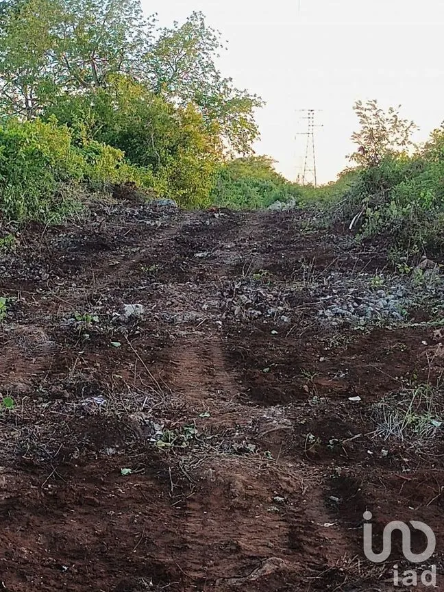 Terreno en Venta en Dzununcán, Mérida, Yucatán | NEX-226809 | iad México | Foto 8 de 13