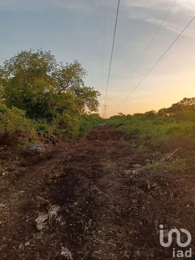 Terreno en Venta en Dzununcán, Mérida, Yucatán | NEX-226809 | iad México | Foto 9 de 13