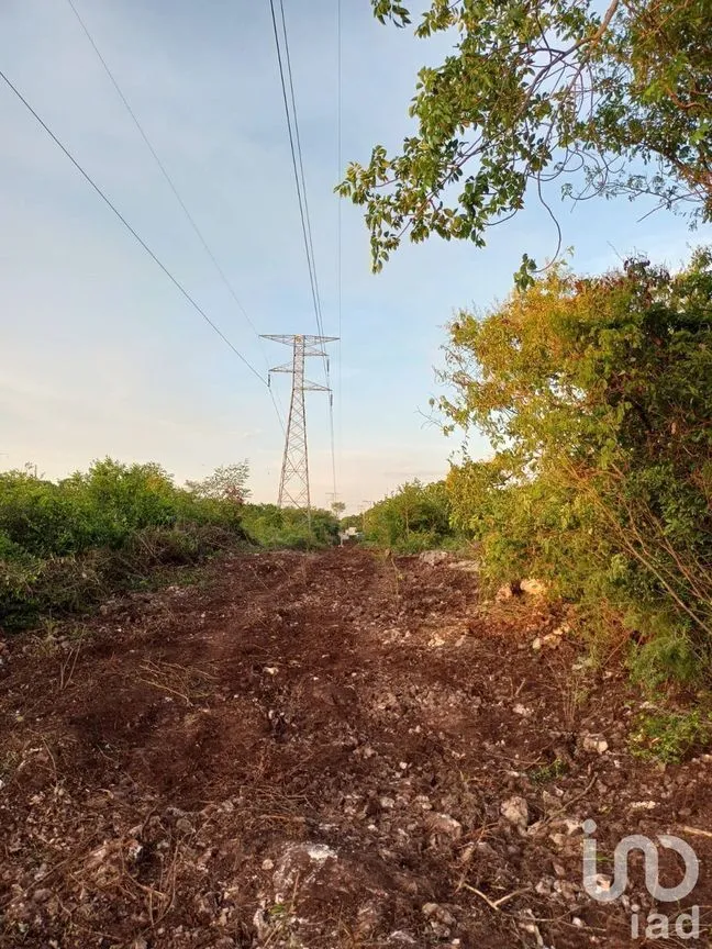 Terreno en Venta en Dzununcán, Mérida, Yucatán | NEX-226809 | iad México | Foto 10 de 13