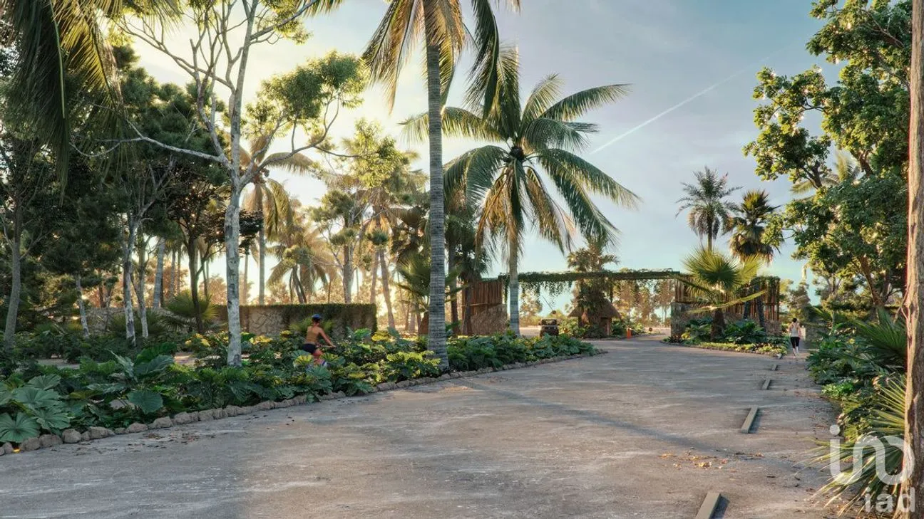 Terreno en Venta en Santa Clara, Dzidzantún, Yucatán | NEX-227206 | iad México | Foto 8 de 15