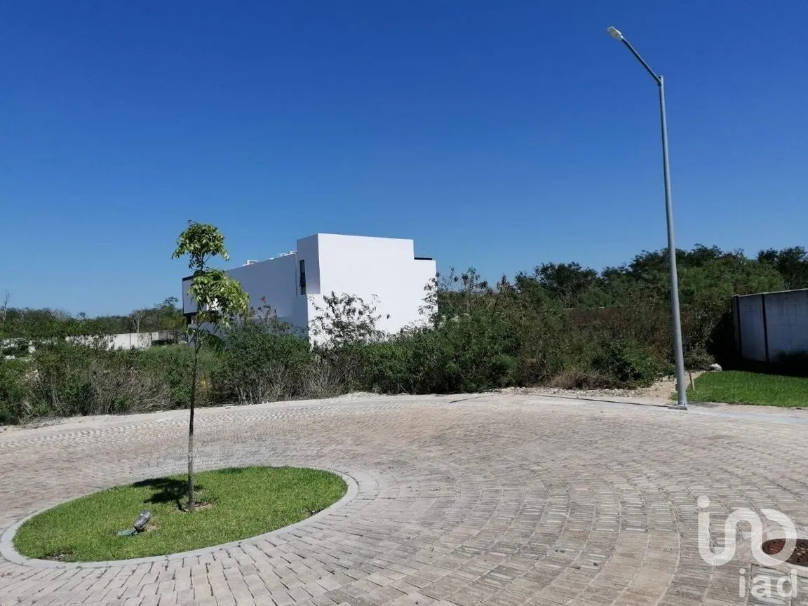 Terreno en Venta en Temozon Norte, Mérida, Yucatán | NEX-229976 | iad México | Foto 10 de 14