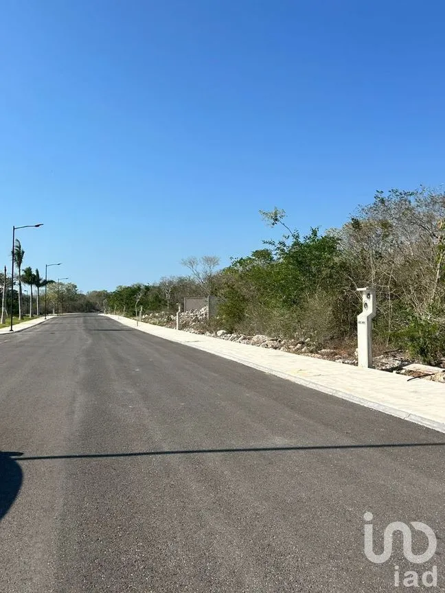 Terreno en Venta en Kikteil, Mérida, Yucatán | NEX-231789 | iad México | Foto 12 de 20