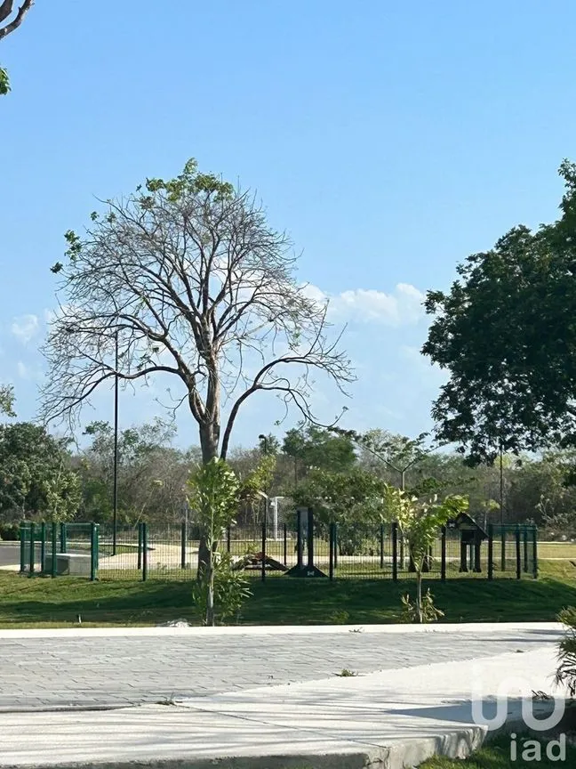 Terreno en Venta en Kikteil, Mérida, Yucatán | NEX-231789 | iad México | Foto 14 de 20