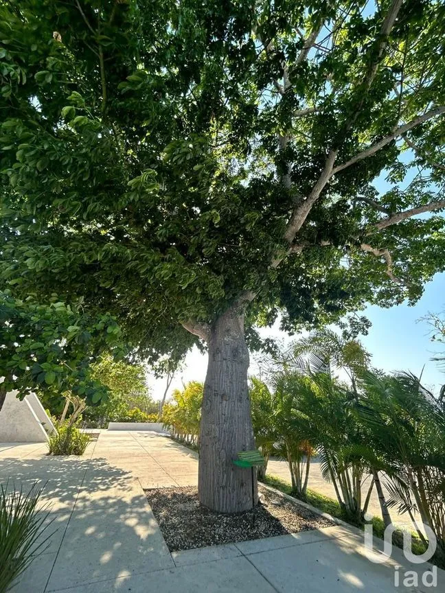 Terreno en Venta en Kikteil, Mérida, Yucatán | NEX-231789 | iad México | Foto 20 de 20