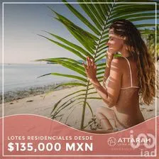 NEX-268011 - Terreno en Venta en Chicxulub, CP 97340, Yucatán.
