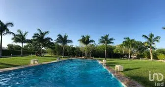 NEX-268014 - Terreno en Venta en Dzidzilché, CP 97302, Yucatán.