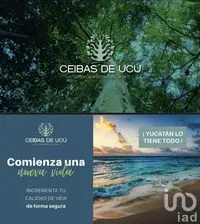 NEX-268049 - Terreno en Venta en Yaxche de Peón, CP 97357, Yucatán.