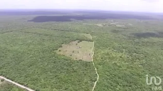 NEX-268055 - Terreno en Venta en Dzilam de Bravo, CP 97606, Yucatán.
