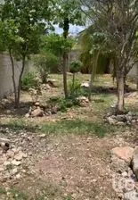 NEX-268066 - Terreno en Venta en Flor de Mayo, CP 97370, Yucatán.