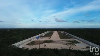 NEX-268079 - Terreno en Venta en Tixcuytún, CP 97305, Yucatán.