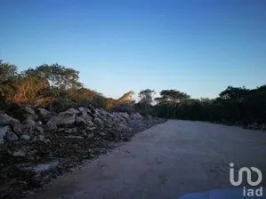 NEX-270181 - Terreno en Venta en Chicxulub Puerto, CP 97330, Yucatán.