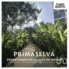 NEX-271698 - Departamento en Venta, con 3 recamaras, con 2 baños, con 173 m2 de construcción en Cabo Norte, CP 97305, Yucatán.