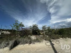 NEX-273168 - Terreno en Venta en Chicxulub, CP 97340, Yucatán.