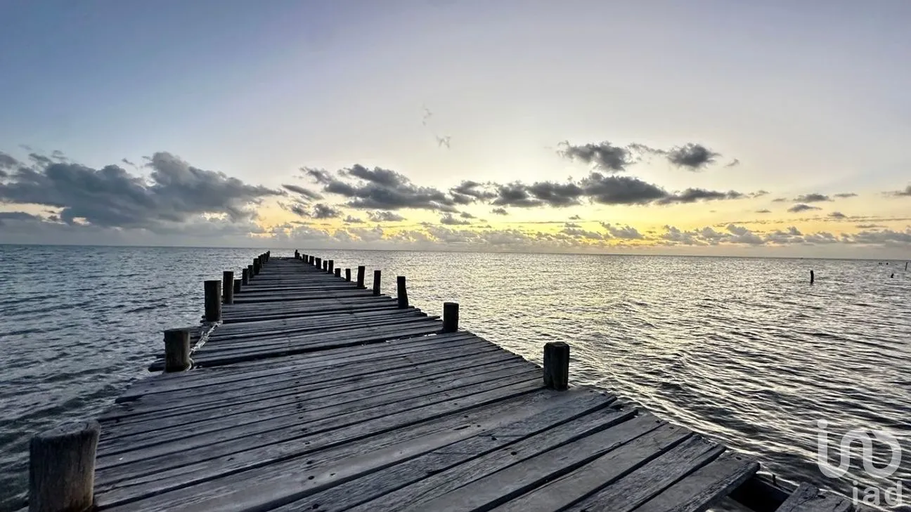 Casa en Venta en Javier Rojo Gómez (Punta Allen), Tulum, Quintana Roo | NEX-276564 | iad México | Foto 21 de 24