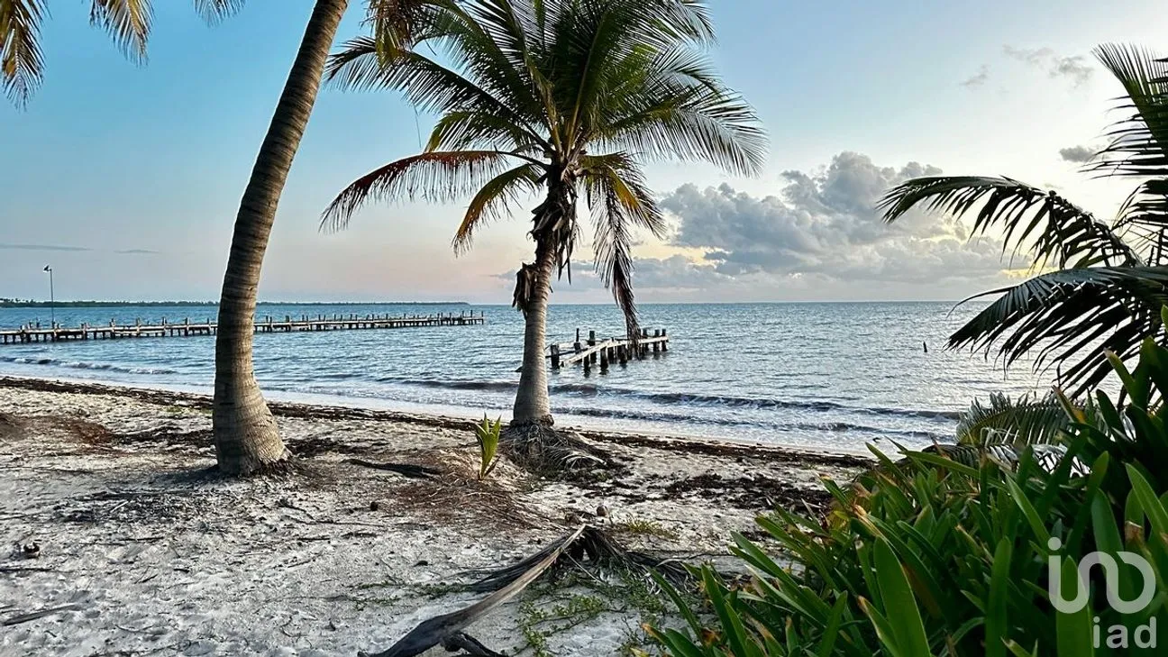 Casa en Venta en Javier Rojo Gómez (Punta Allen), Tulum, Quintana Roo | NEX-276564 | iad México | Foto 22 de 24
